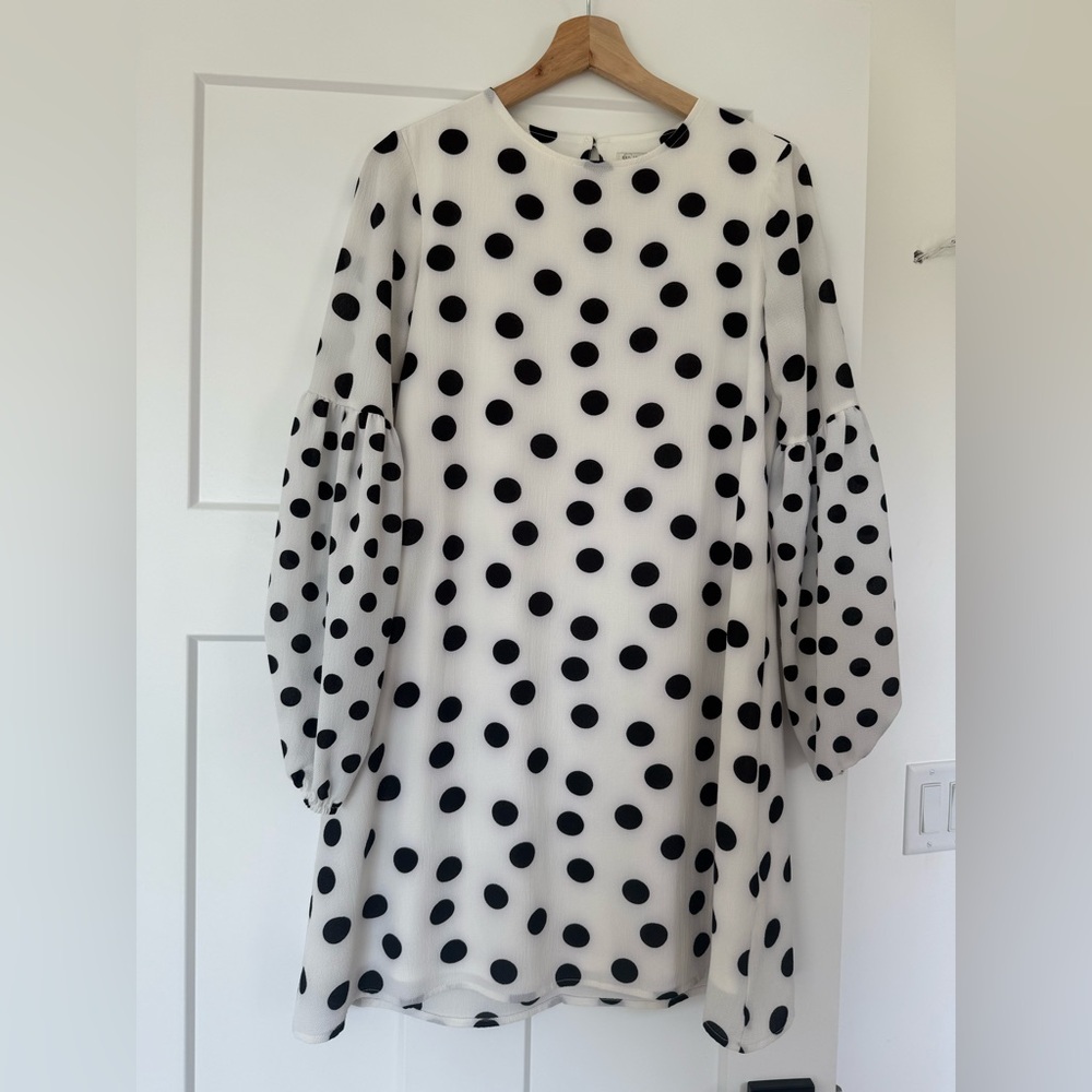 Loft Polka Dot Long Sleeve Dress